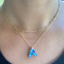 Load image into Gallery viewer, Cisco Initial Necklace