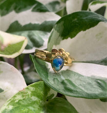 Load image into Gallery viewer, Floranada Ring